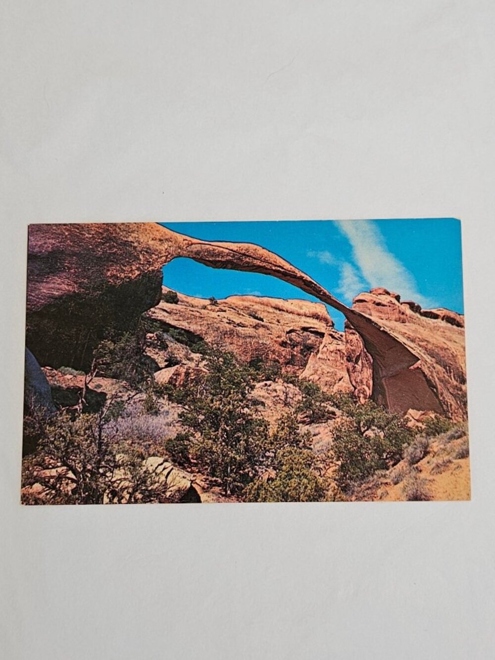 Landscape Arch Arches National Monument Utah Postcard
